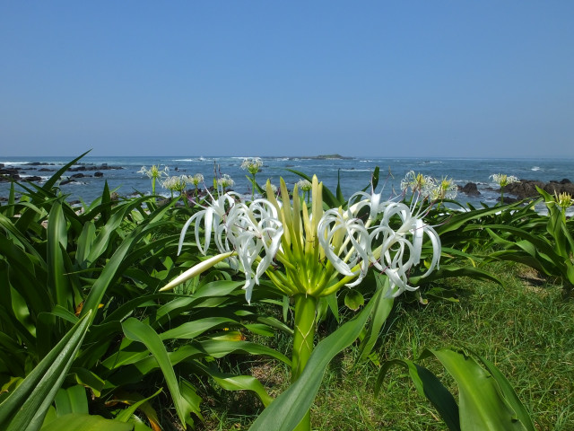 天神島臨海自然教育園 （旧：天神島）